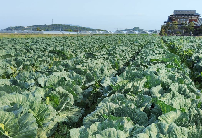 北部農園の風景1
