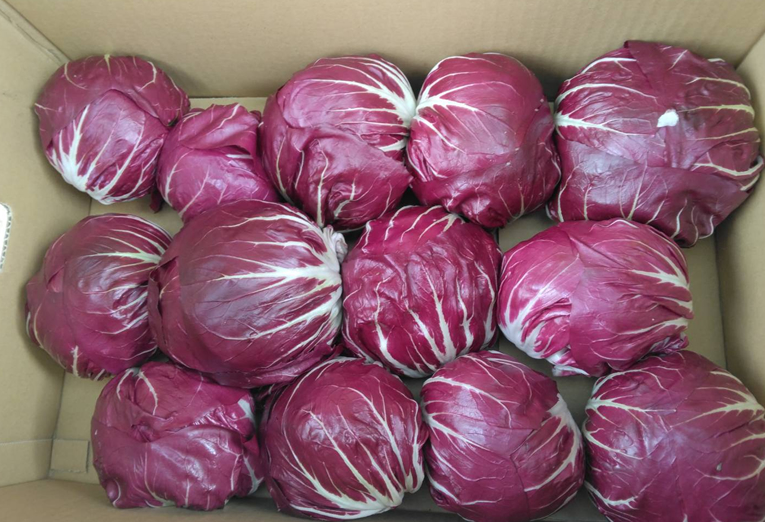 北部農園の風景11