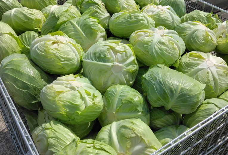 北部農園の風景6