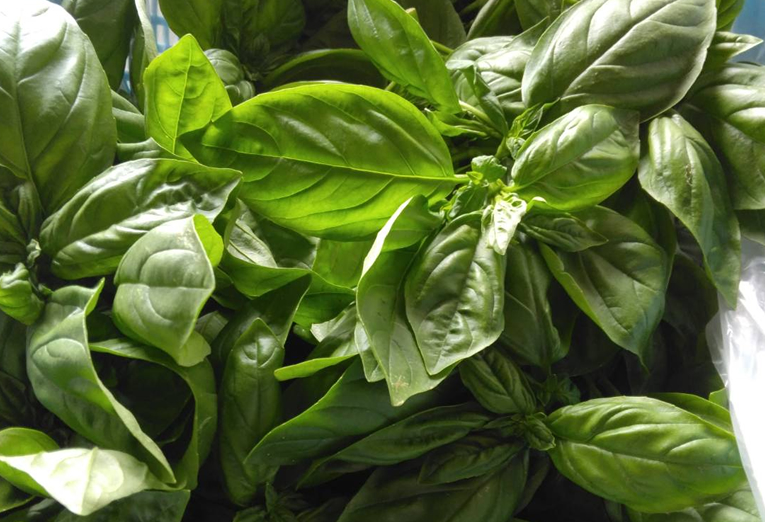 北部農園の風景8