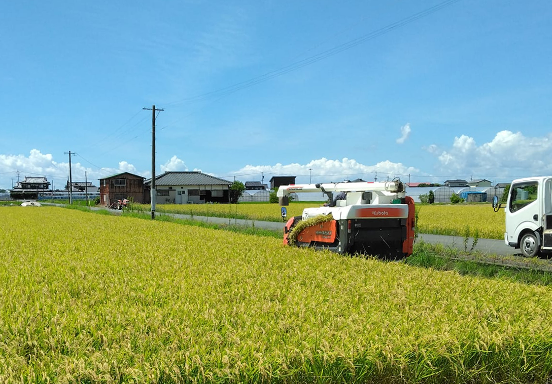 その他の作物・管理