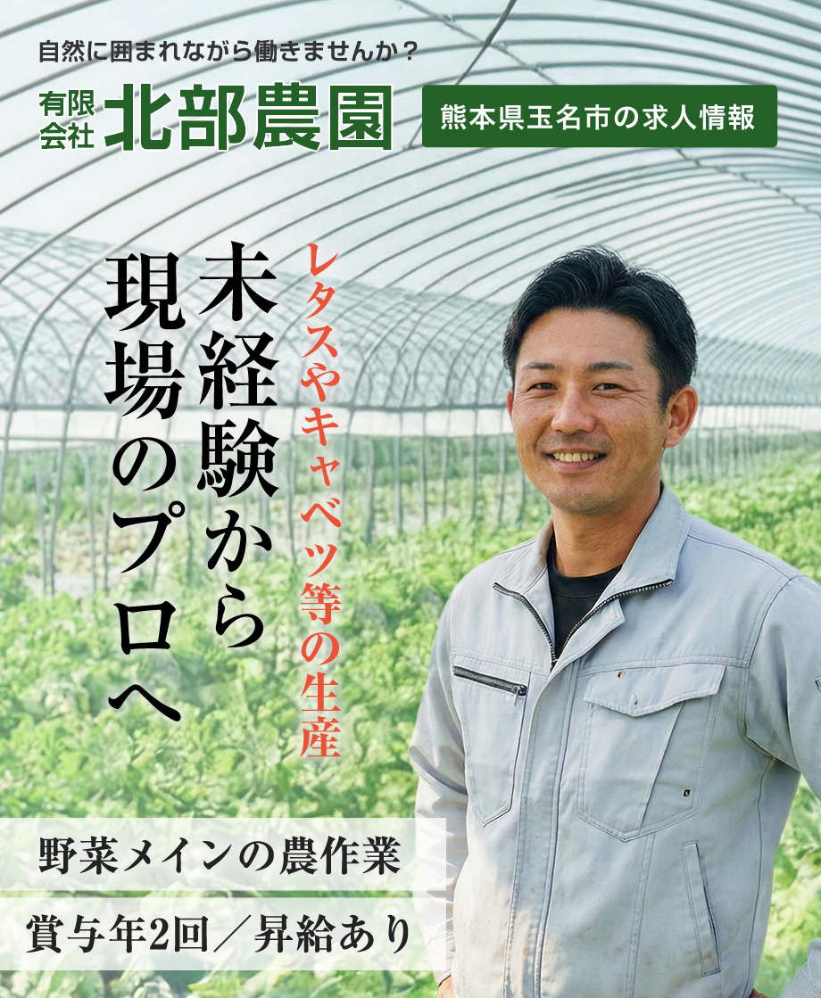 未経験9割！月給19.9万～。熊本県玉名市の北部農園では、レタスやキャベツ等の生産・管理を行う正社員を募集中。寮完備、食事補助、髪型自由など働きやすさが自慢です。